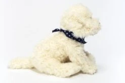 Teddy-Hermann Labradoodle Sitzend, 28 Cm 9 Teddy-Hermann Labradoodle Sitzend, 28 Cm -Teddy Hermann 15910362 04