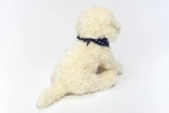 Teddy-Hermann Labradoodle Sitzend, 28 Cm 10 Teddy-Hermann Labradoodle Sitzend, 28 Cm -Teddy Hermann 15910362 05