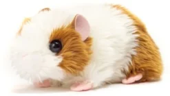 Teddy-Hermann Meerschweinchen Gold/weiß 18 Cm -Teddy Hermann 1860361 03