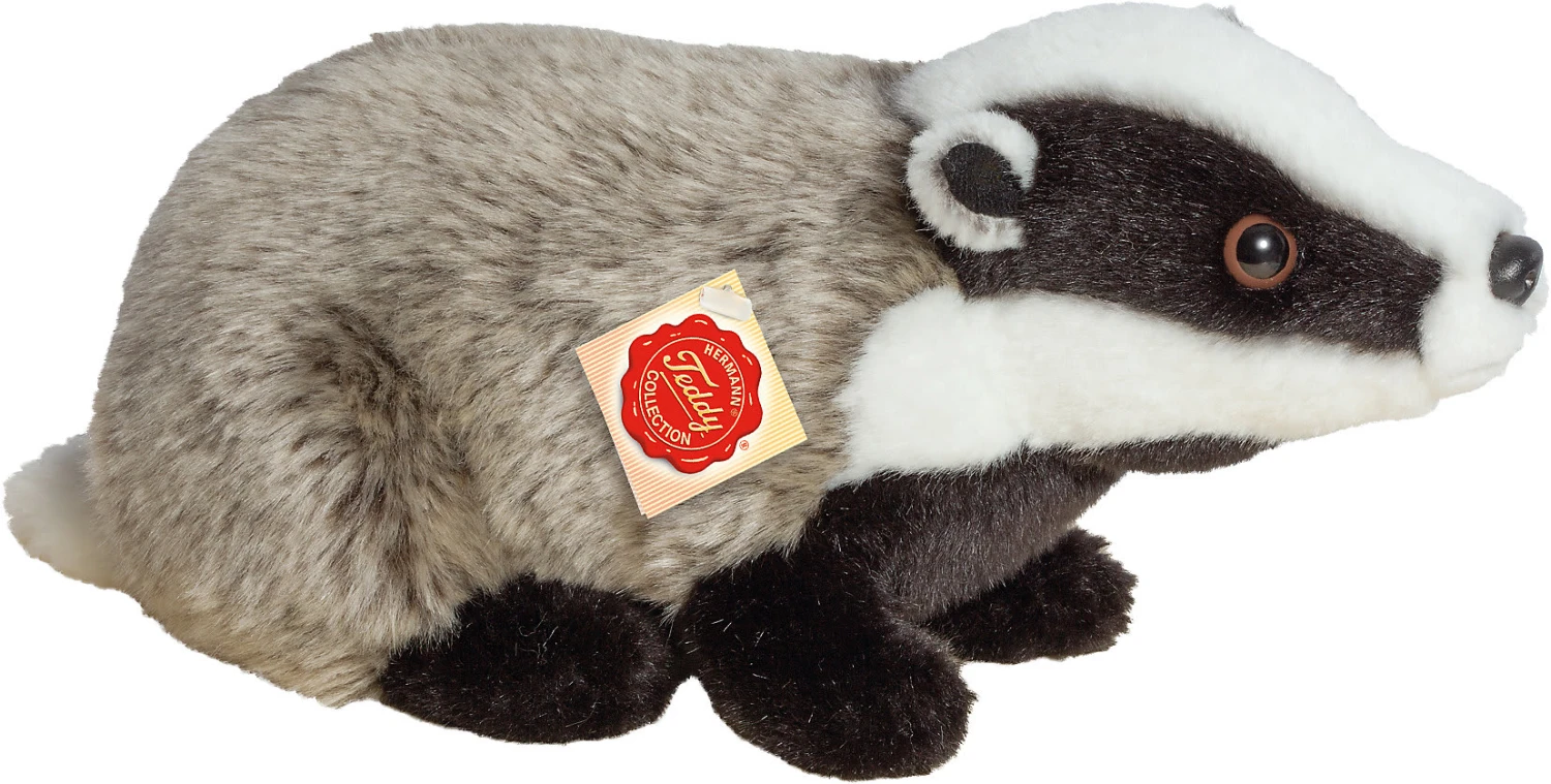 Dachs 30 Cm 3 Dachs 30 Cm – Bild 3